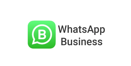 9. Ads Logo