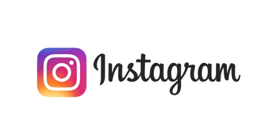 9. Logo Instagram